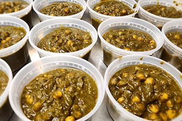 Pure Veg Tiffin Real Photos Toronto